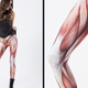 Illustration for article titled Muscle Leggings Prove Fashion Is More Than Skin Deep